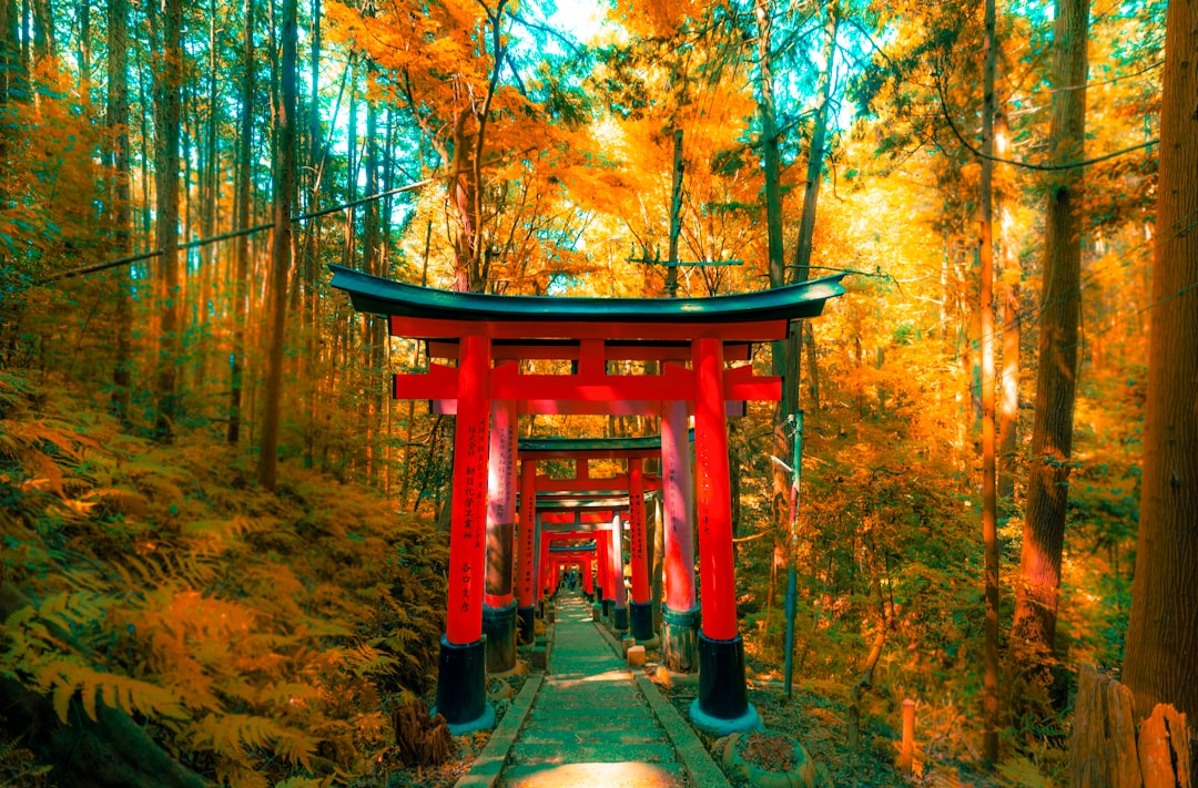 travelers stories about Place of worship in Fushimi Inari Taisha, Japan