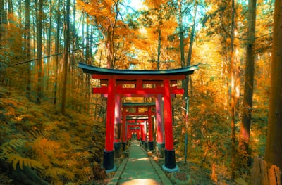 Fushimi Inari torii gates Kyoto