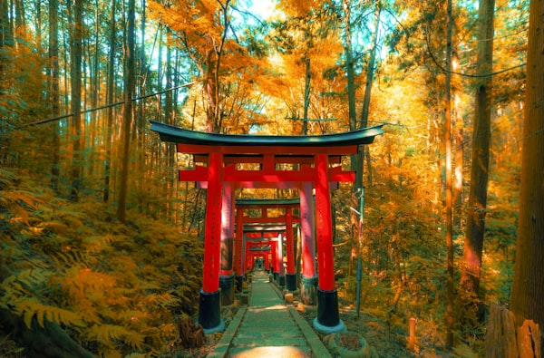 Fushimi Inari — Guide to the 10,000 Torii Gates