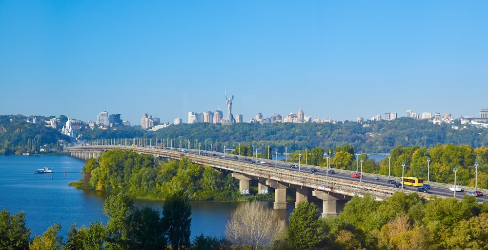 bridge scenery during daytime