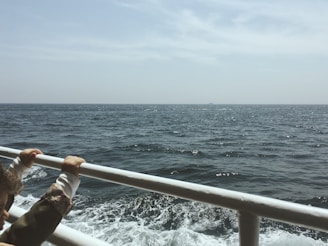 A vast expanse of ocean stretches toward the horizon under a bright sky. The water appears choppy with white caps visible, and the sunlight glistens off its surface. In the foreground, a child, partially visible, holds onto the railing of a boat, creating a sense of adventure or travel.