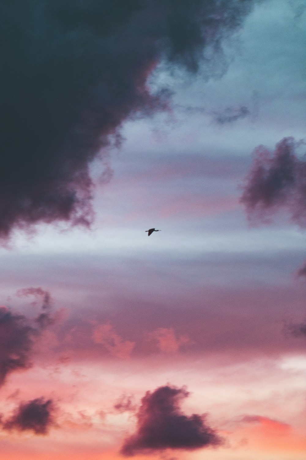 silhouette photography of plane