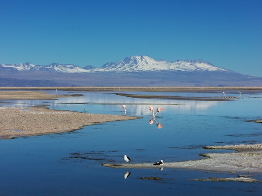 landscape of a lake and mountain range in Salar de Atacama Chile