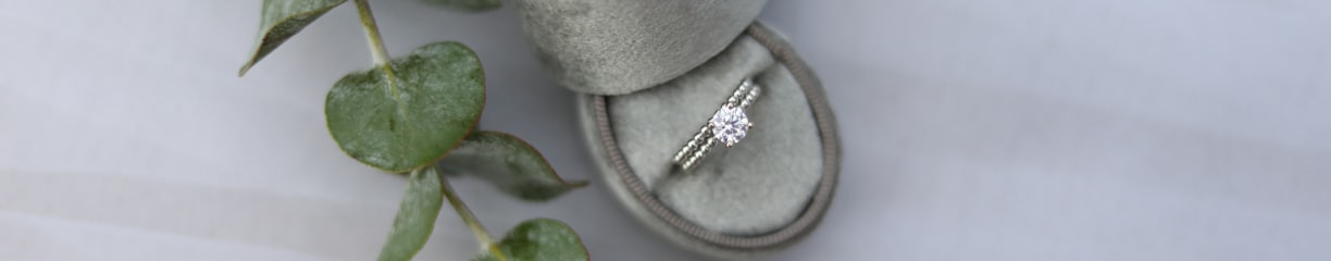 gold and diamond ring on case beside crawling plant
