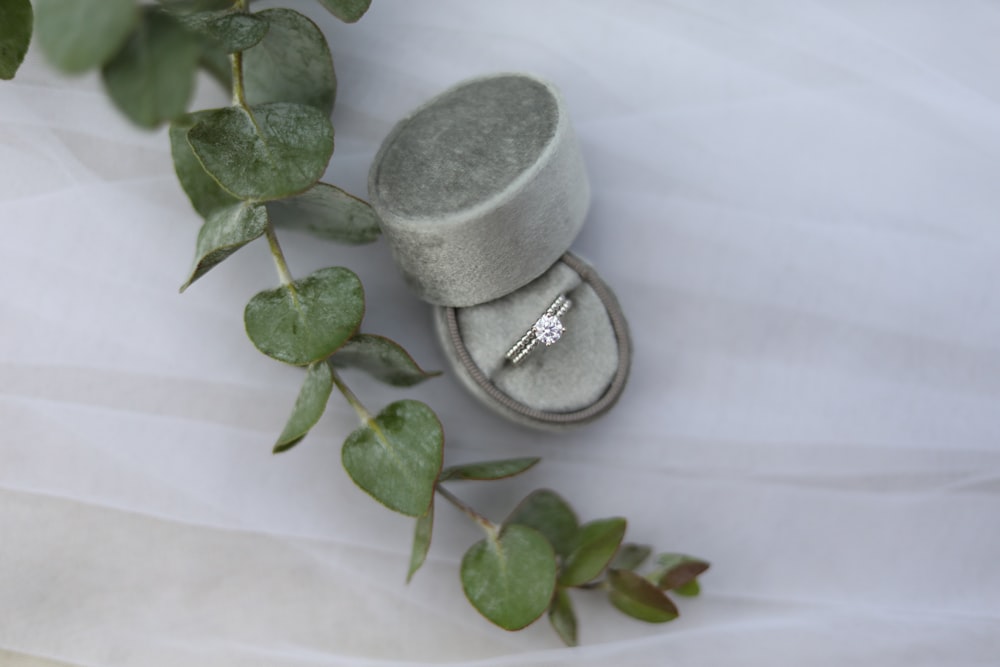 gold and diamond ring on case beside crawling plant