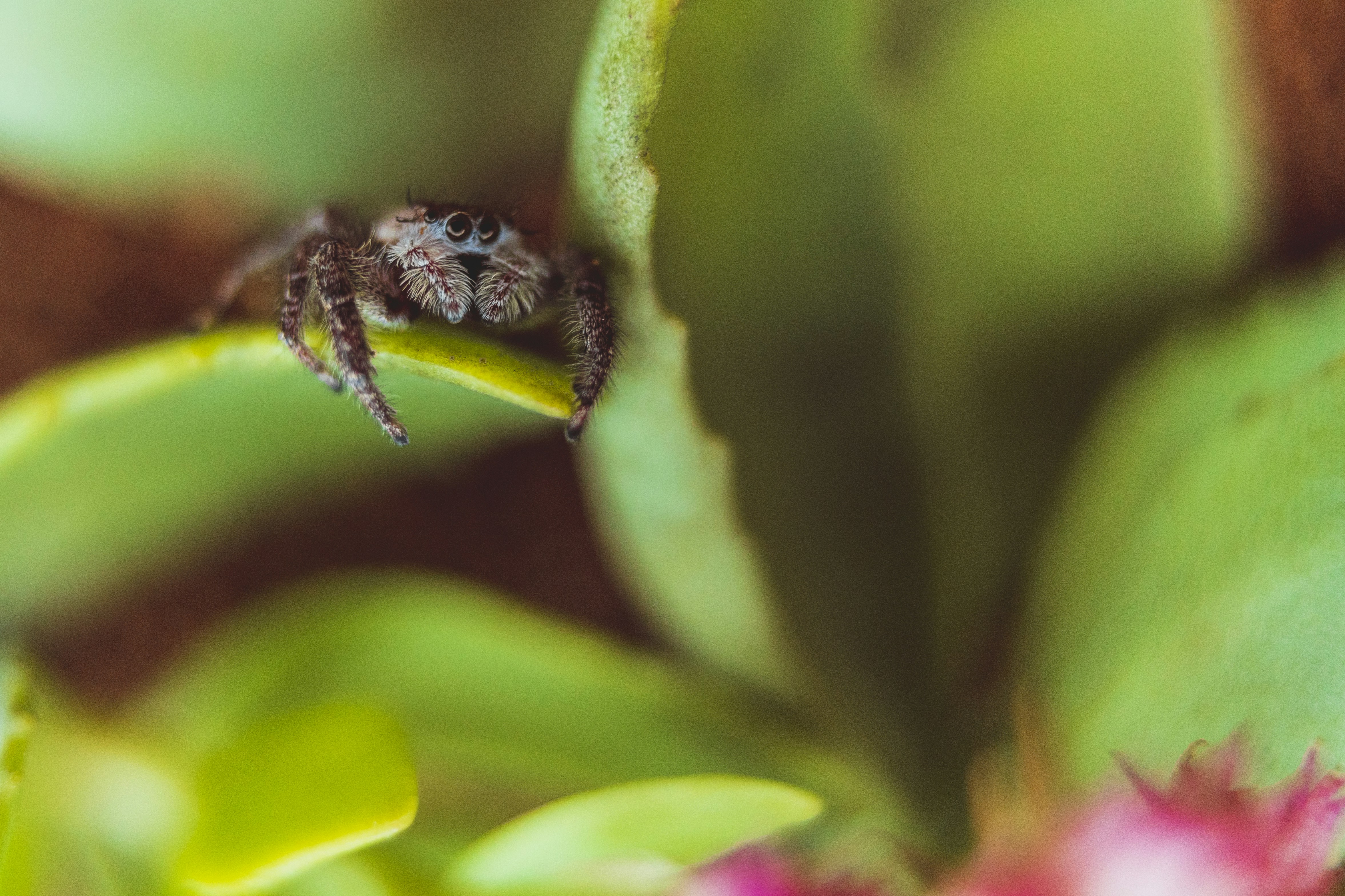 Photo by timothycdykes