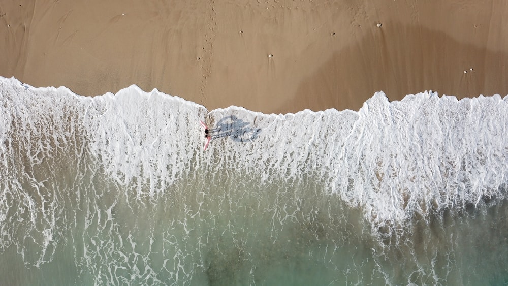 two person standing on seashore