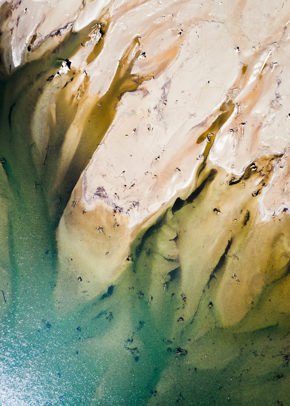 bird's eye view of a beach