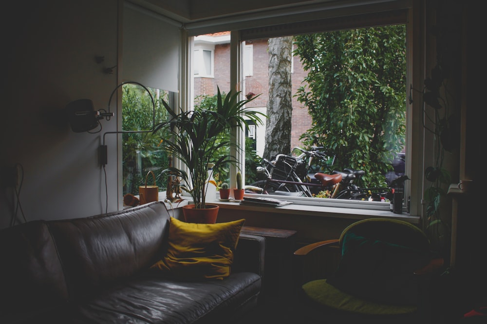 interior photograph of a living room