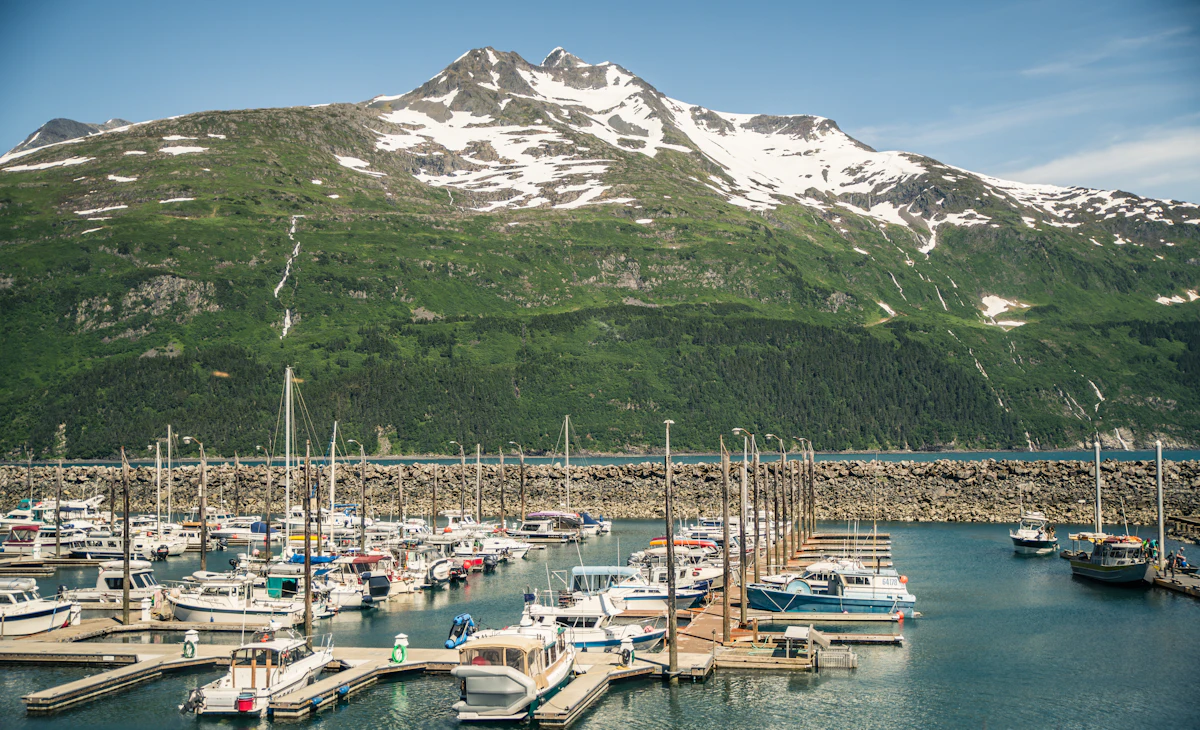Boats in the Seward marina behind the breakwater, below a green mountain with snow near its top