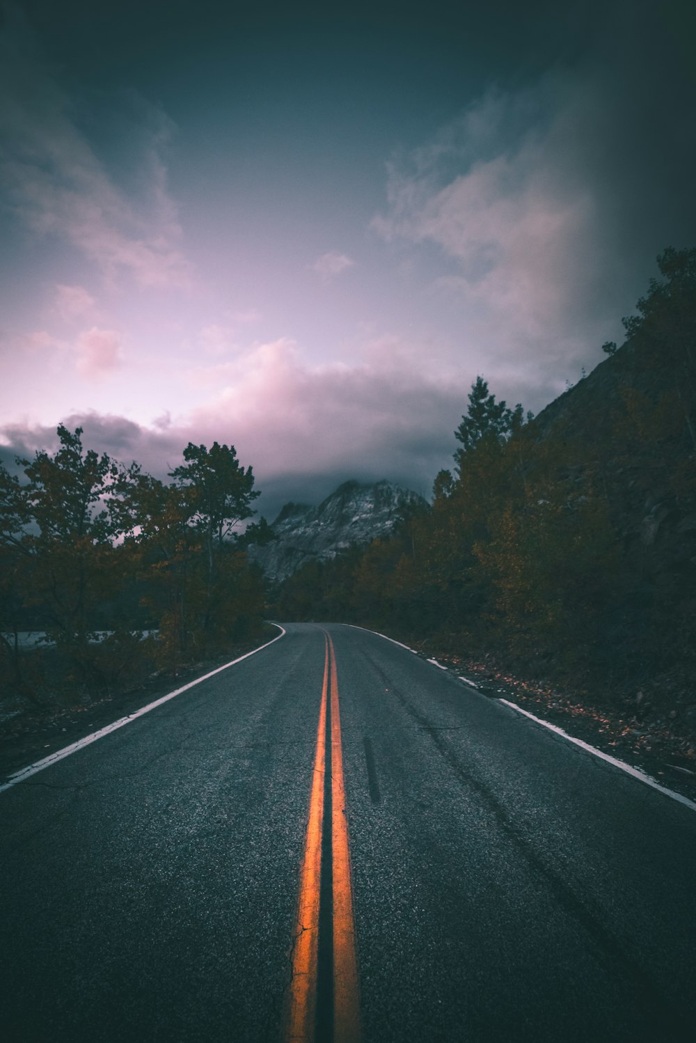 gray concrete road between trees