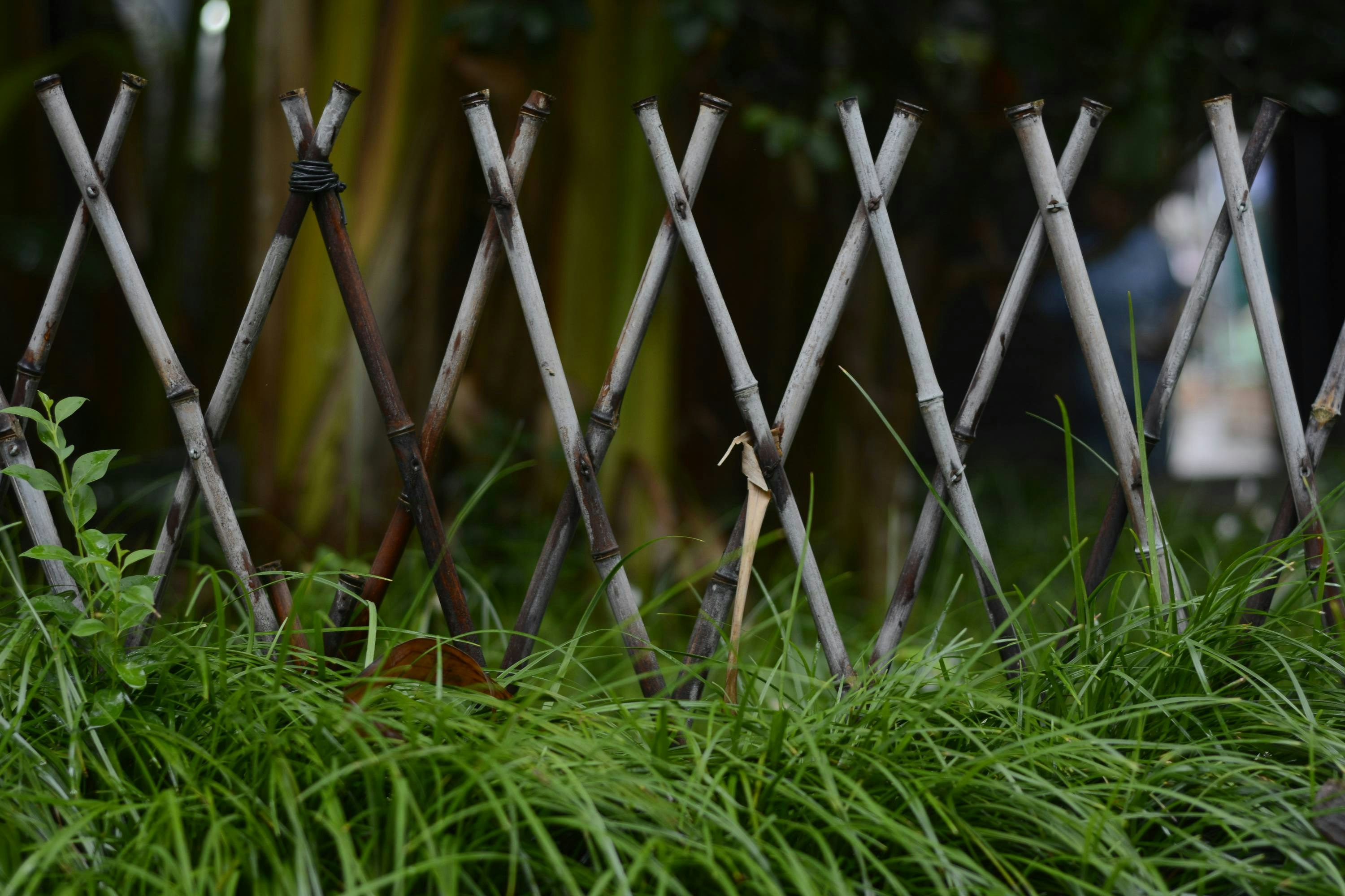 Photo by nicetomeetyou