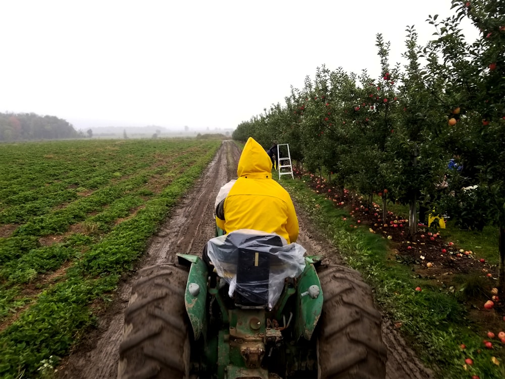 man riding tractor traveling road between plants during daytime