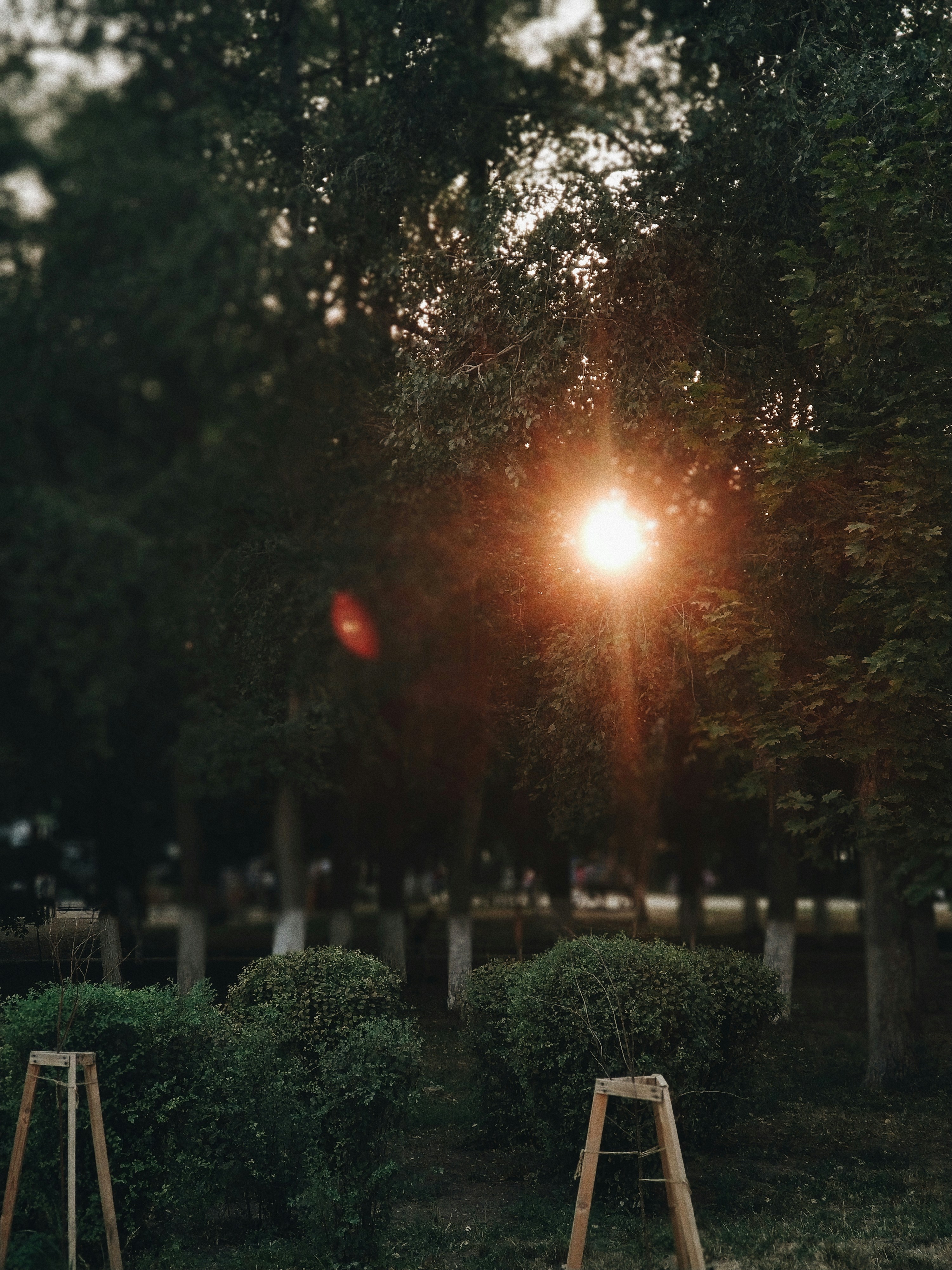 Prospekt Sel'mash, 1а, Rostov, Rostovskaya Oblast', Russia 