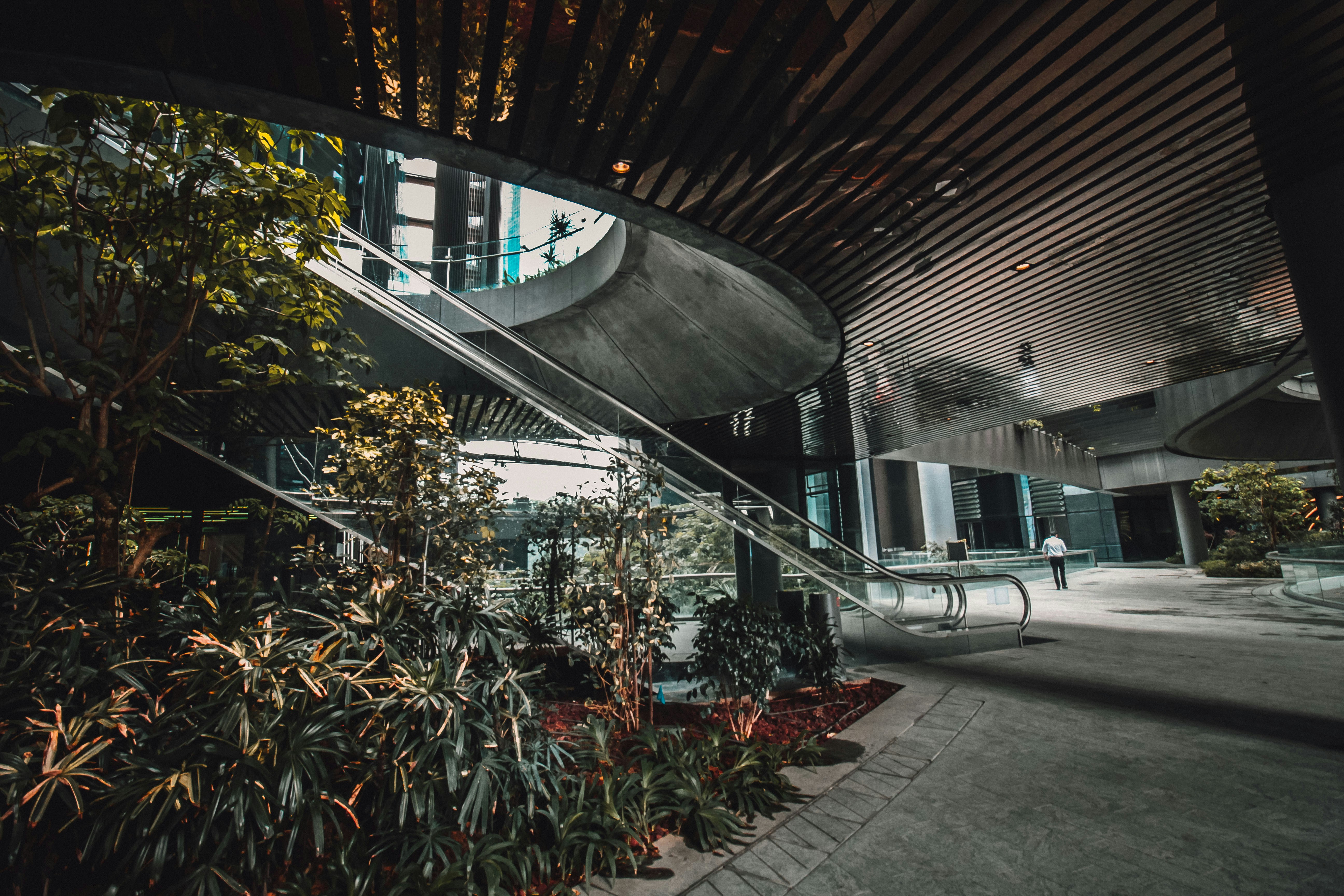 green and brown plants near building