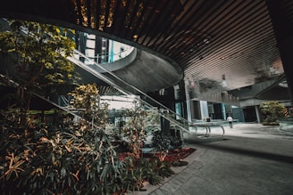 A modern architectural space featuring a spacious atrium with sleek, reflective surfaces and abundant natural light. Lush greenery is interspersed through the area, with plants and small trees lining the pathway. An escalator is visible in the center, leading to an upper level. A person is seen walking in the background, adding a sense of scale and activity.