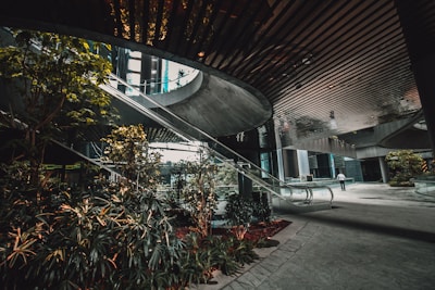 A modern architectural space featuring a spacious atrium with sleek, reflective surfaces and abundant natural light. Lush greenery is interspersed through the area, with plants and small trees lining the pathway. An escalator is visible in the center, leading to an upper level. A person is seen walking in the background, adding a sense of scale and activity.