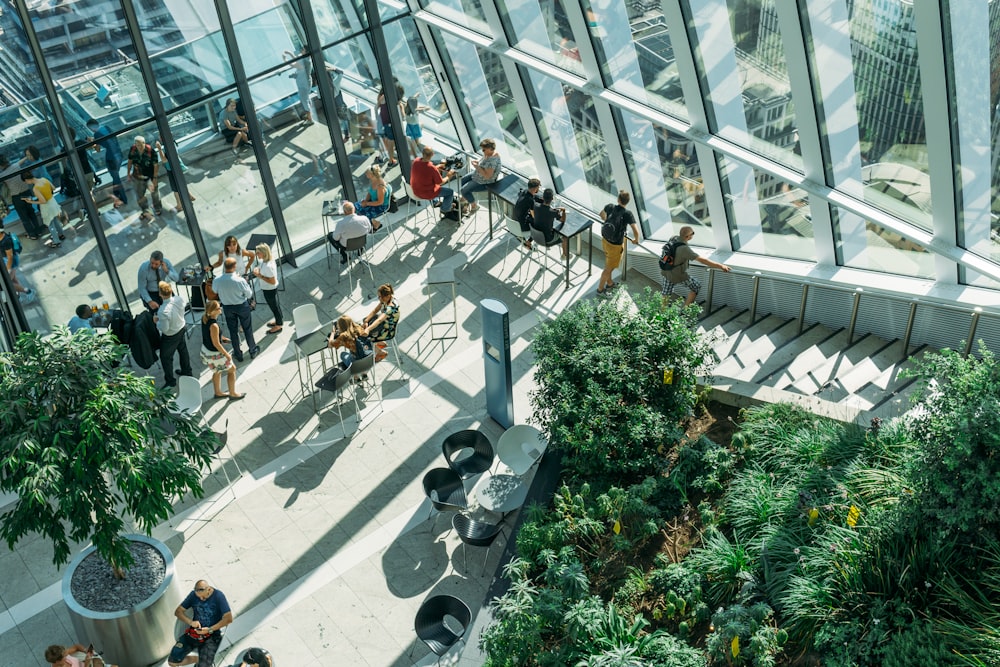 緑の葉の植物のそばの建物に集まる人々