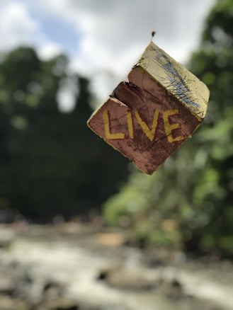A small, weathered wooden block with the word 'LIVE' painted in yellow is suspended in mid-air against a blurred natural background. The block has a rustic appearance with visible cracks and a contrast between brown wood and yellow paint. The background suggests a forest or wooded area with green foliage and dappled sunlight.