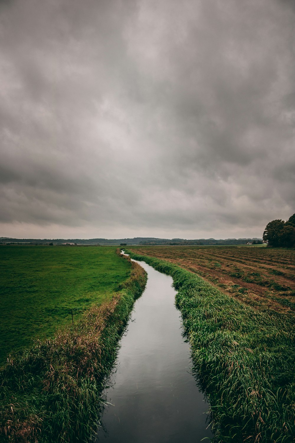 green grass field and river