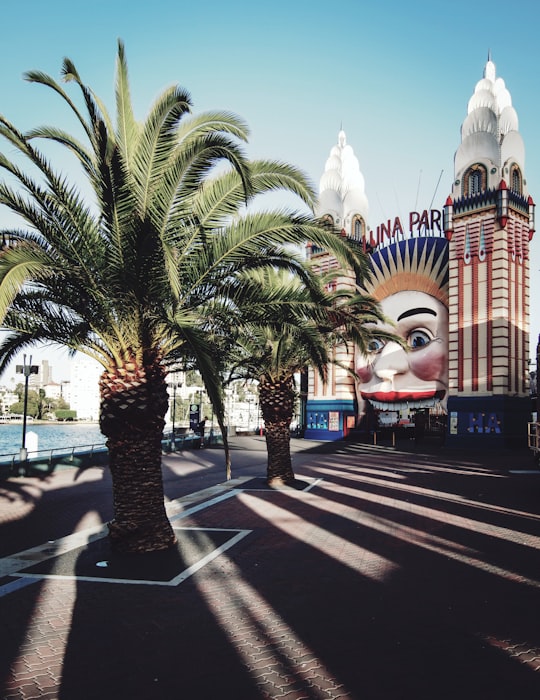 two green palm trees in Luna Park Sydney Australia