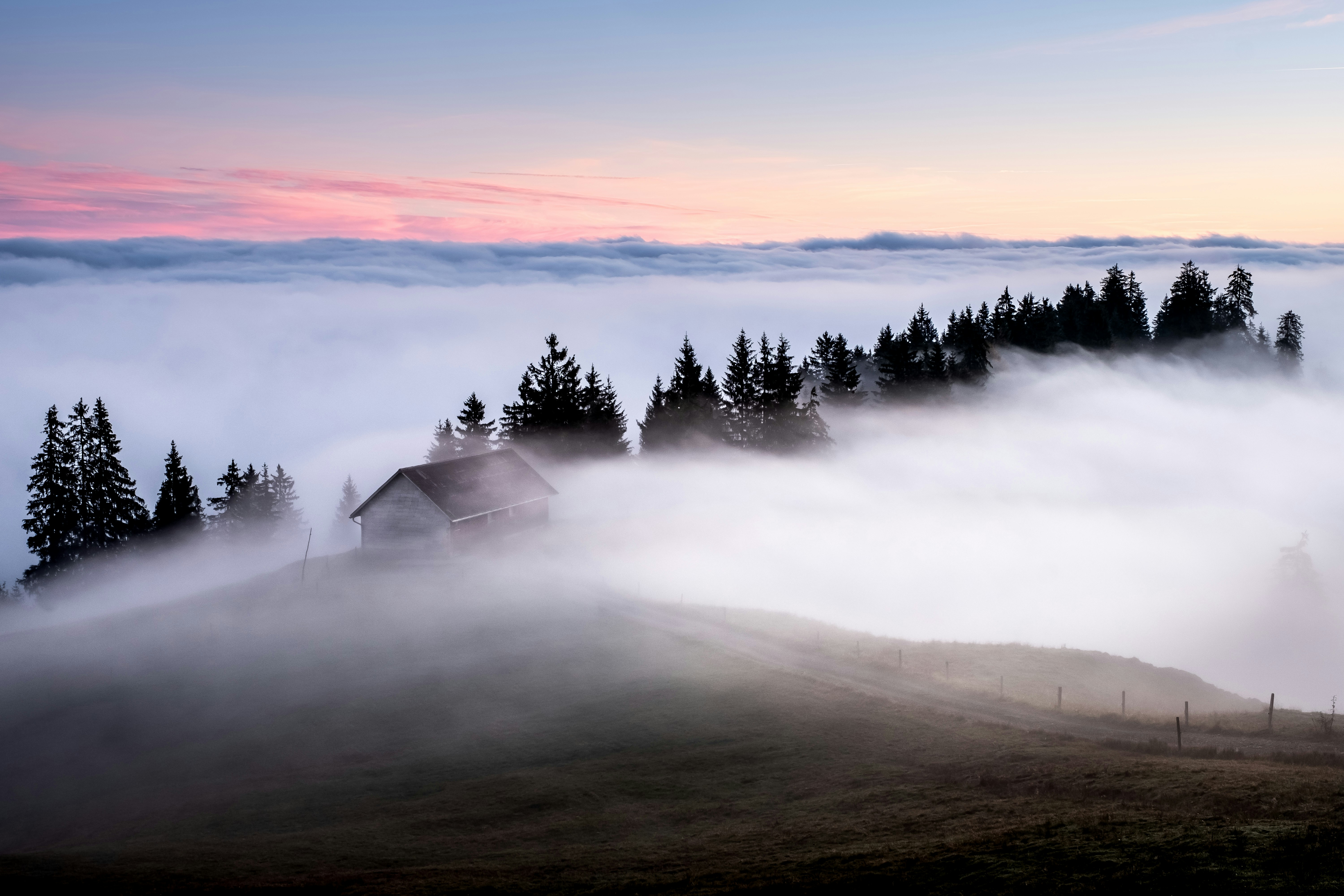 wallpapers | 1 best free wallpaper, dawn, dusk and fog photos on Unsplash