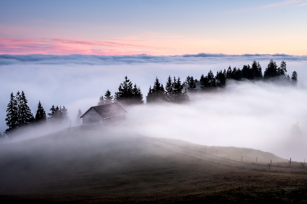 white and brown wooden house surrounded by fogs