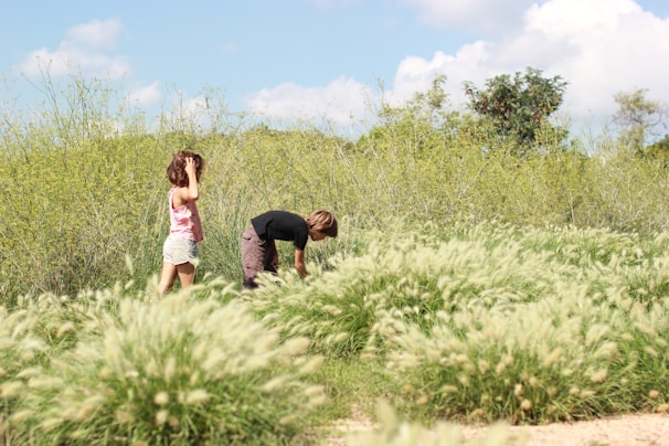 Children exploring a meadow during an educational nature excursion.