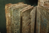 An ancient manuscript with intricate, detailed illustrations and glyphs on its aging pages. The pages are slightly frayed, showcasing various symbols and drawings that suggest a historical or archaeological theme.
