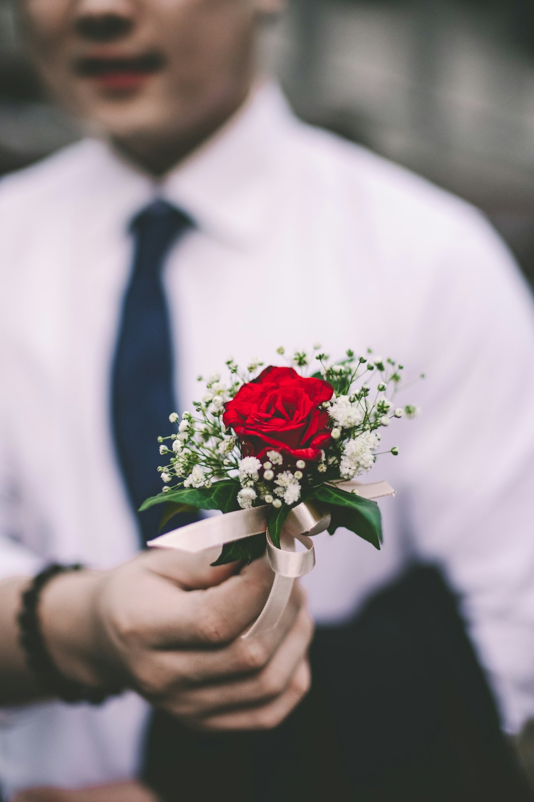 person holding rose flower