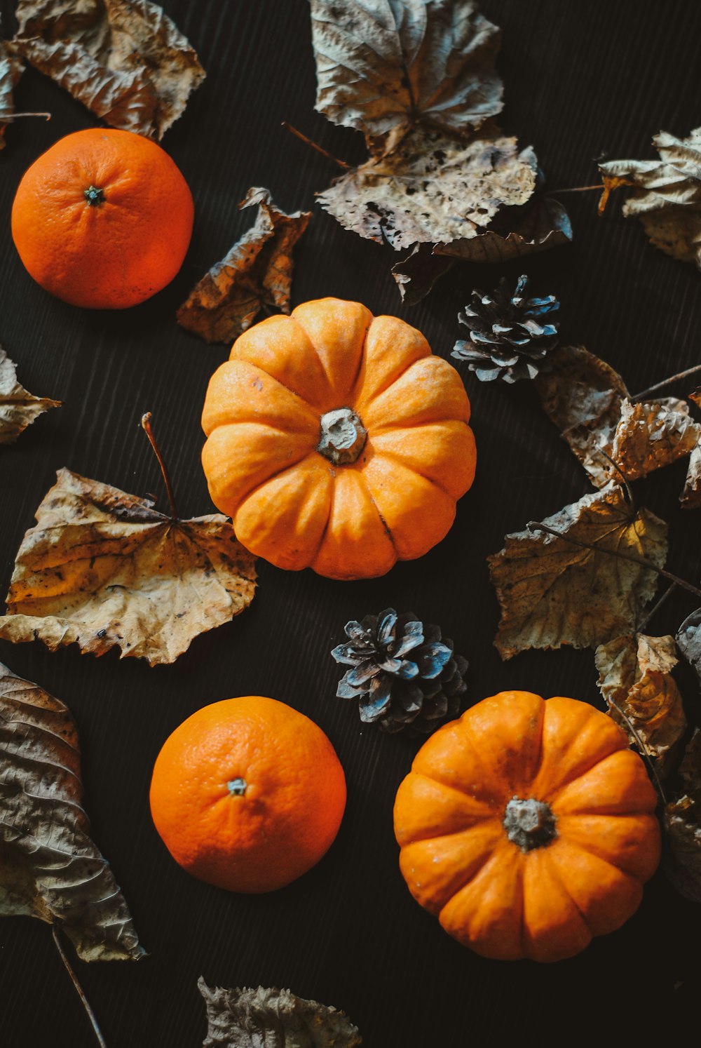 orange pumpkins on black surface