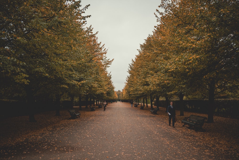 man walking beside park bench near trees