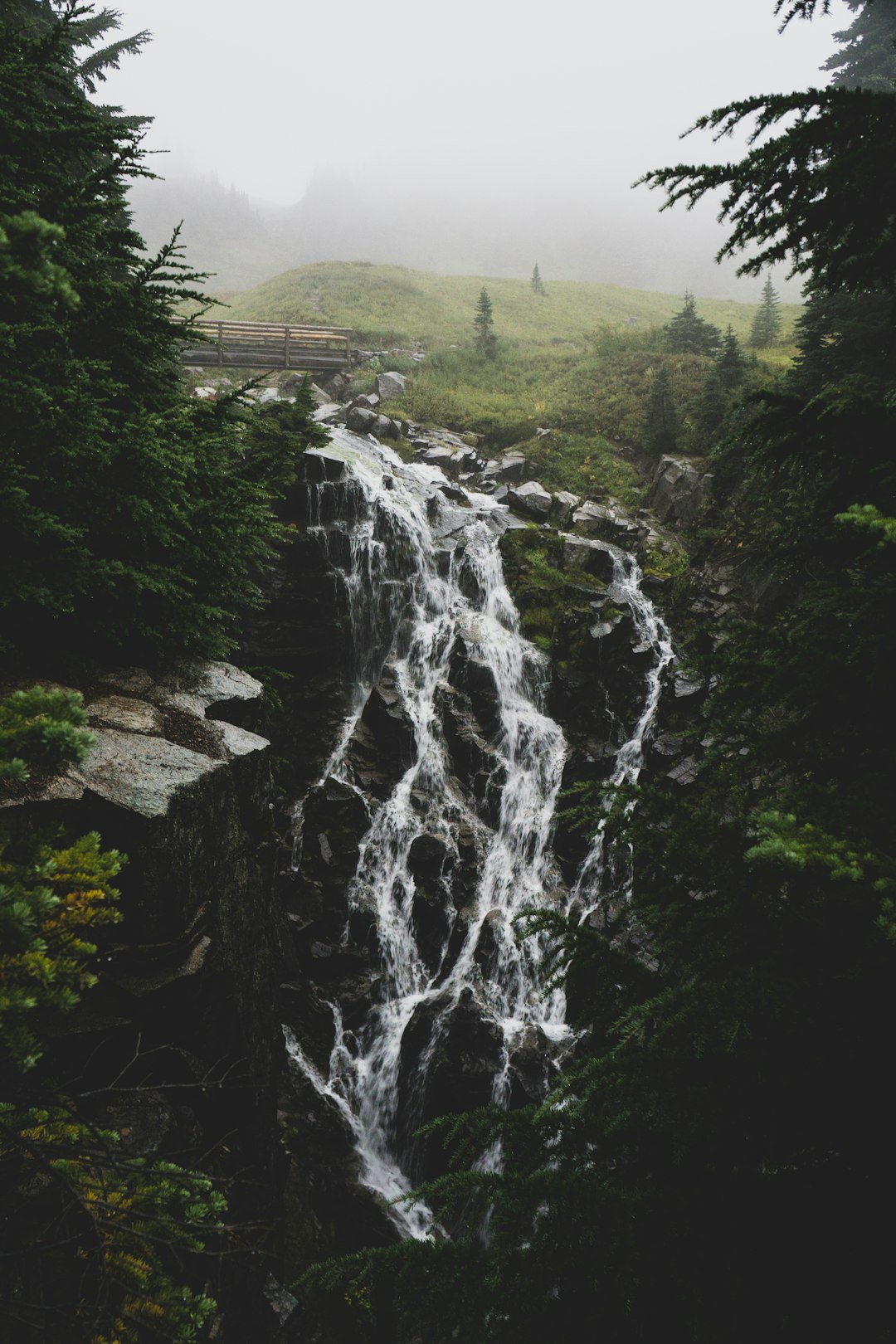 Waterfall photo spot Myrtle Falls Mount Rainier National Park