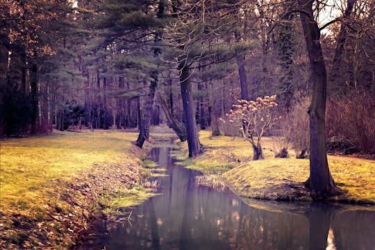 body of water near trees in Oranienburg Germany