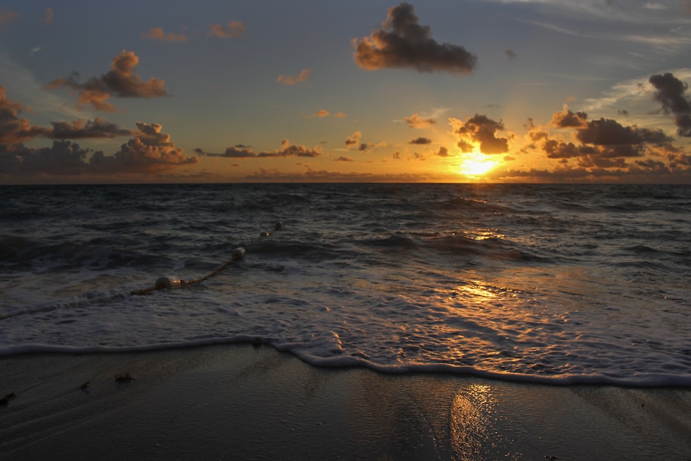 landscape photography of seashore during golden hour