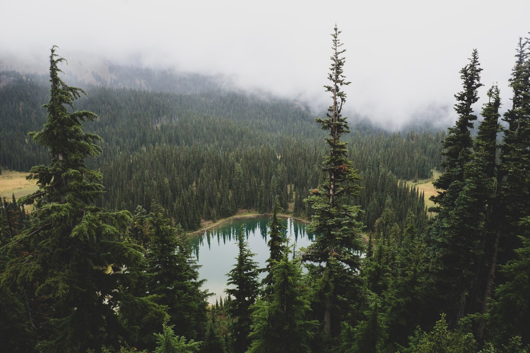 Tropical and subtropical coniferous forests photo spot Sunrise Point Snow Lake