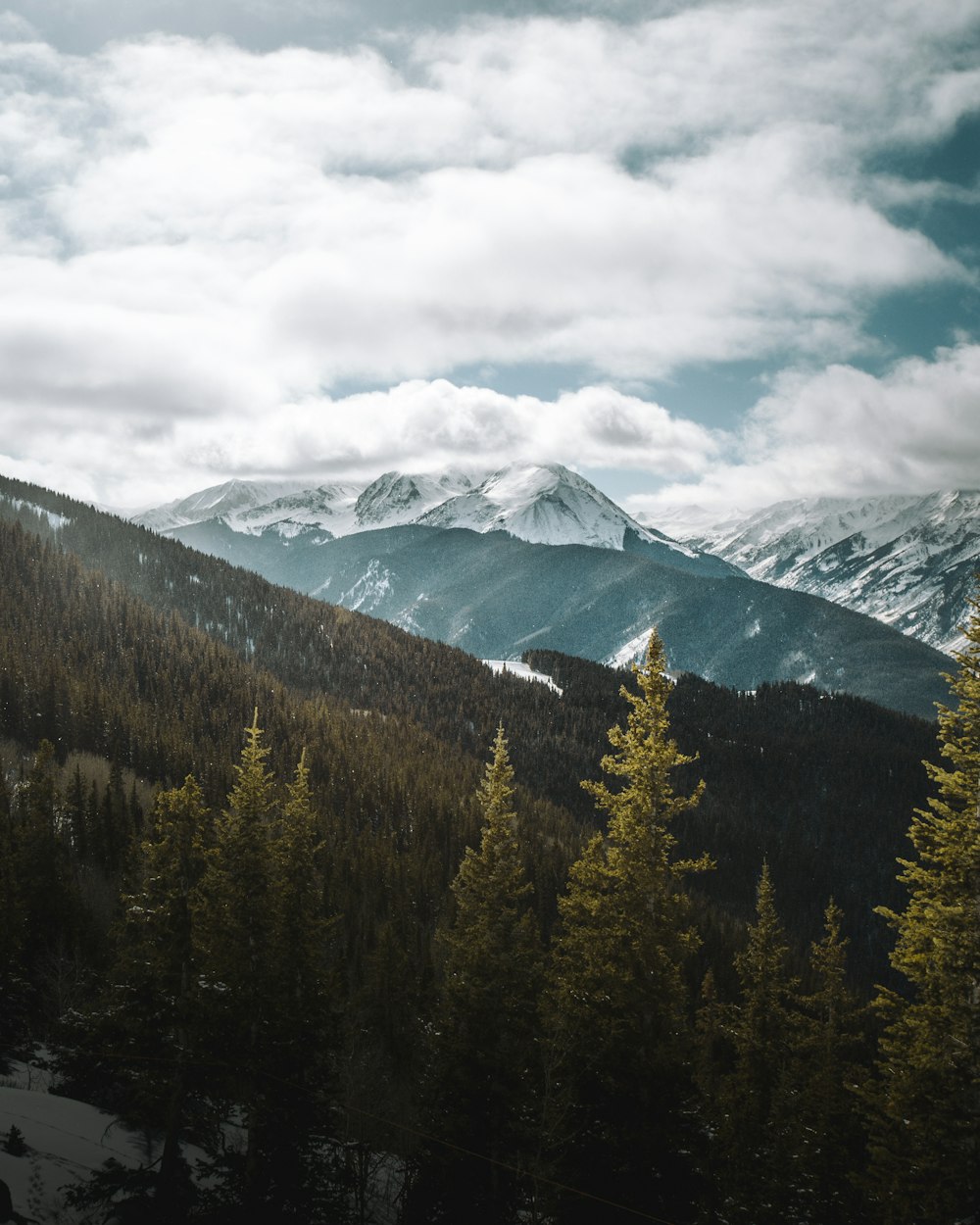 aerial view of alps mountain near trees