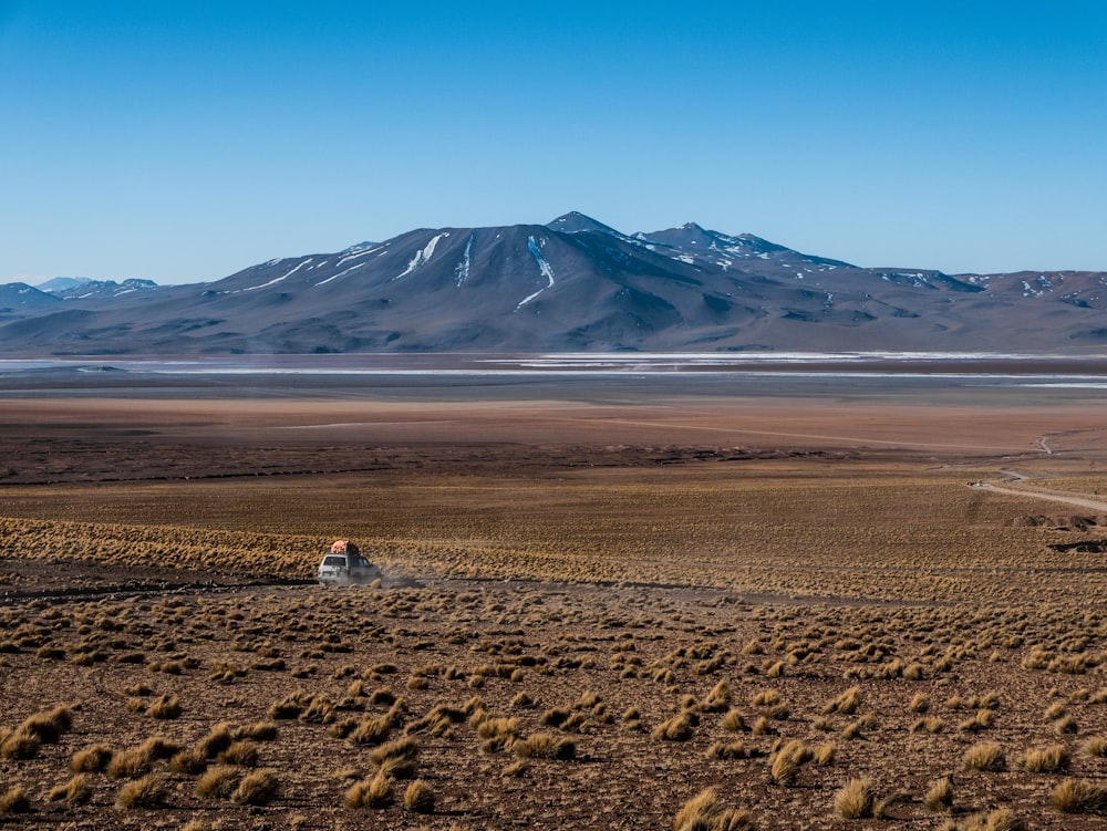 white cab forward truck travelling on road in the desert during daytime