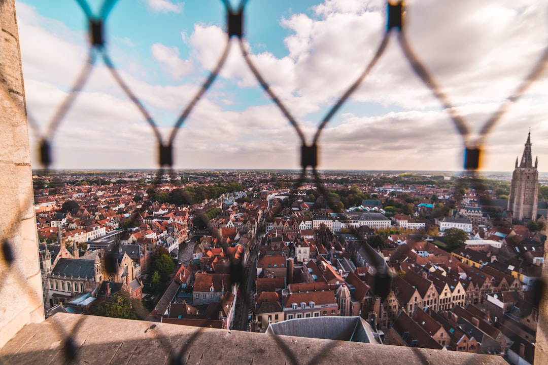 aerial photography of houses