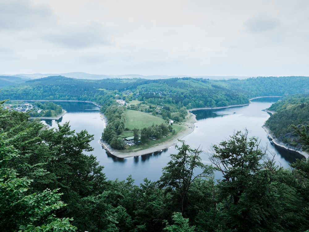 landscape photography of trees near body of water