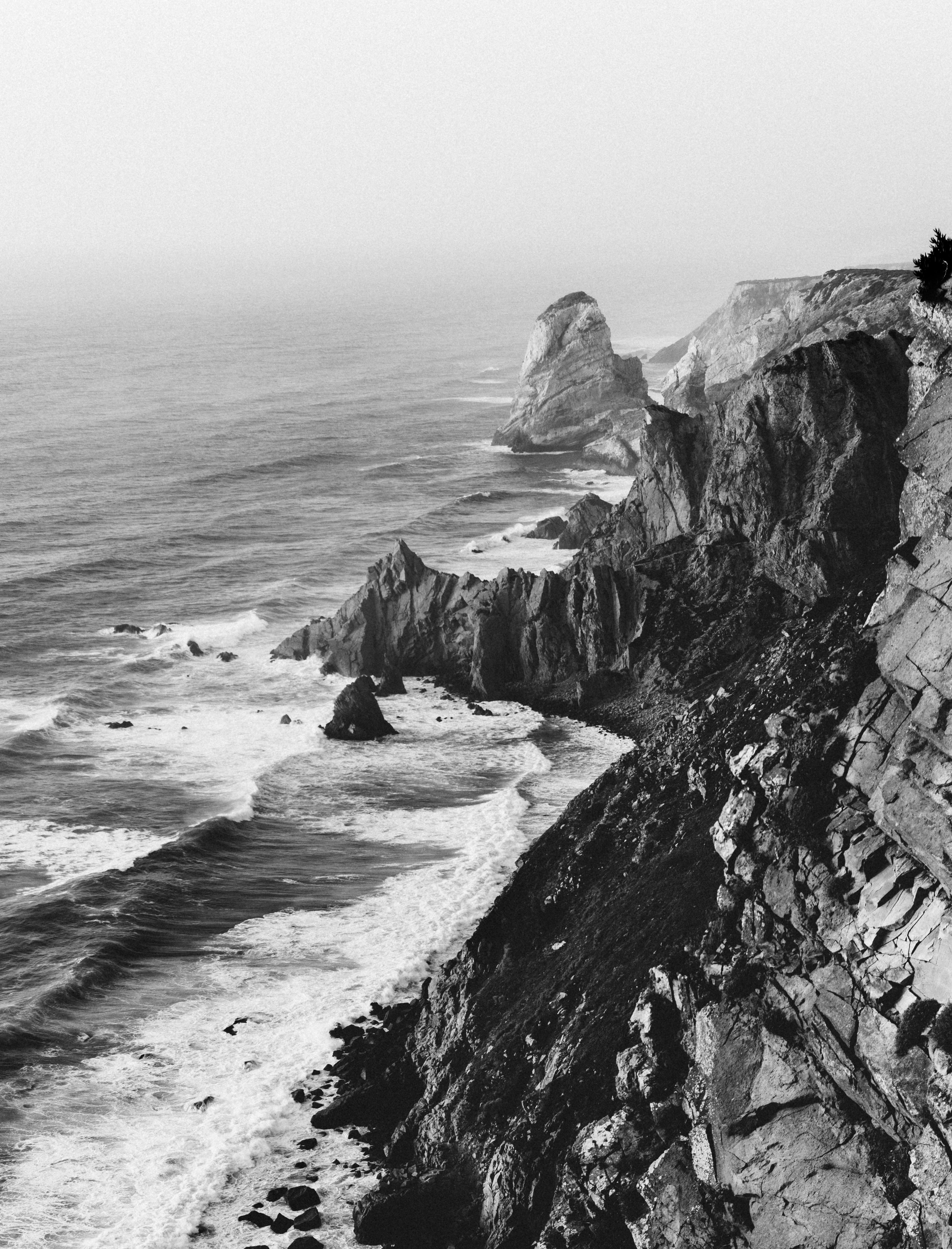 Photo by shandranick