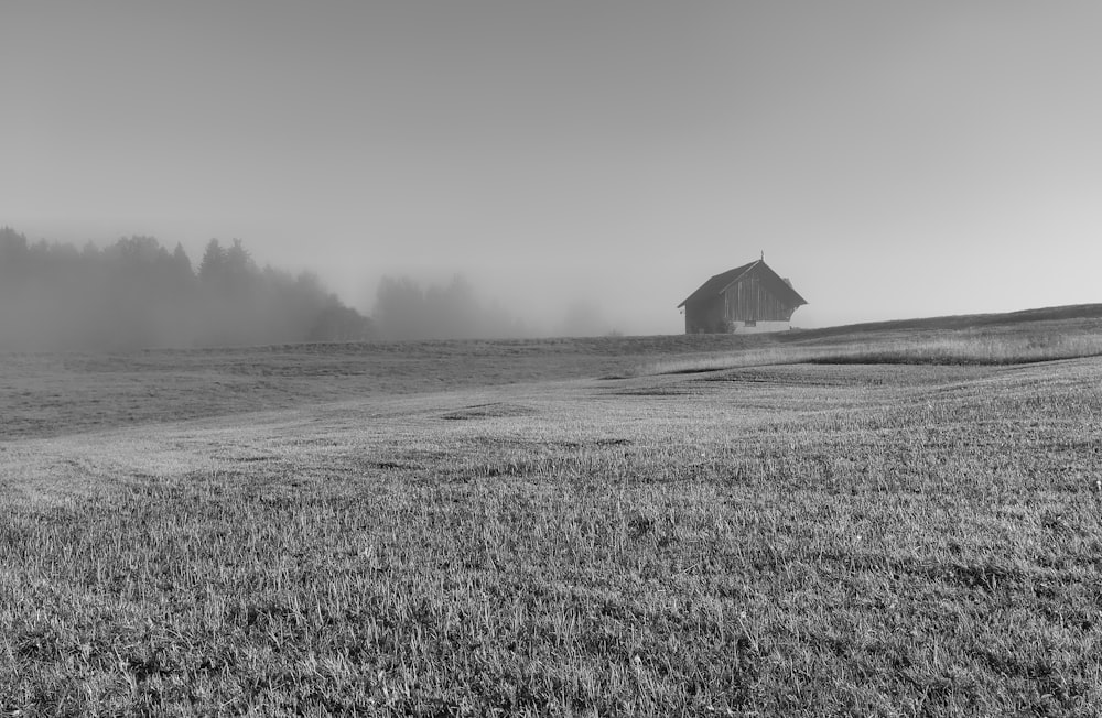 grayscale photography of grass field