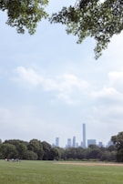 A vast green park with a well-maintained lawn in the foreground, surrounded by tall trees. In the background, a city skyline with several modern skyscrapers is visible under a partly cloudy sky. People are scattered around, some sitting in groups on the grass, enjoying the open space.