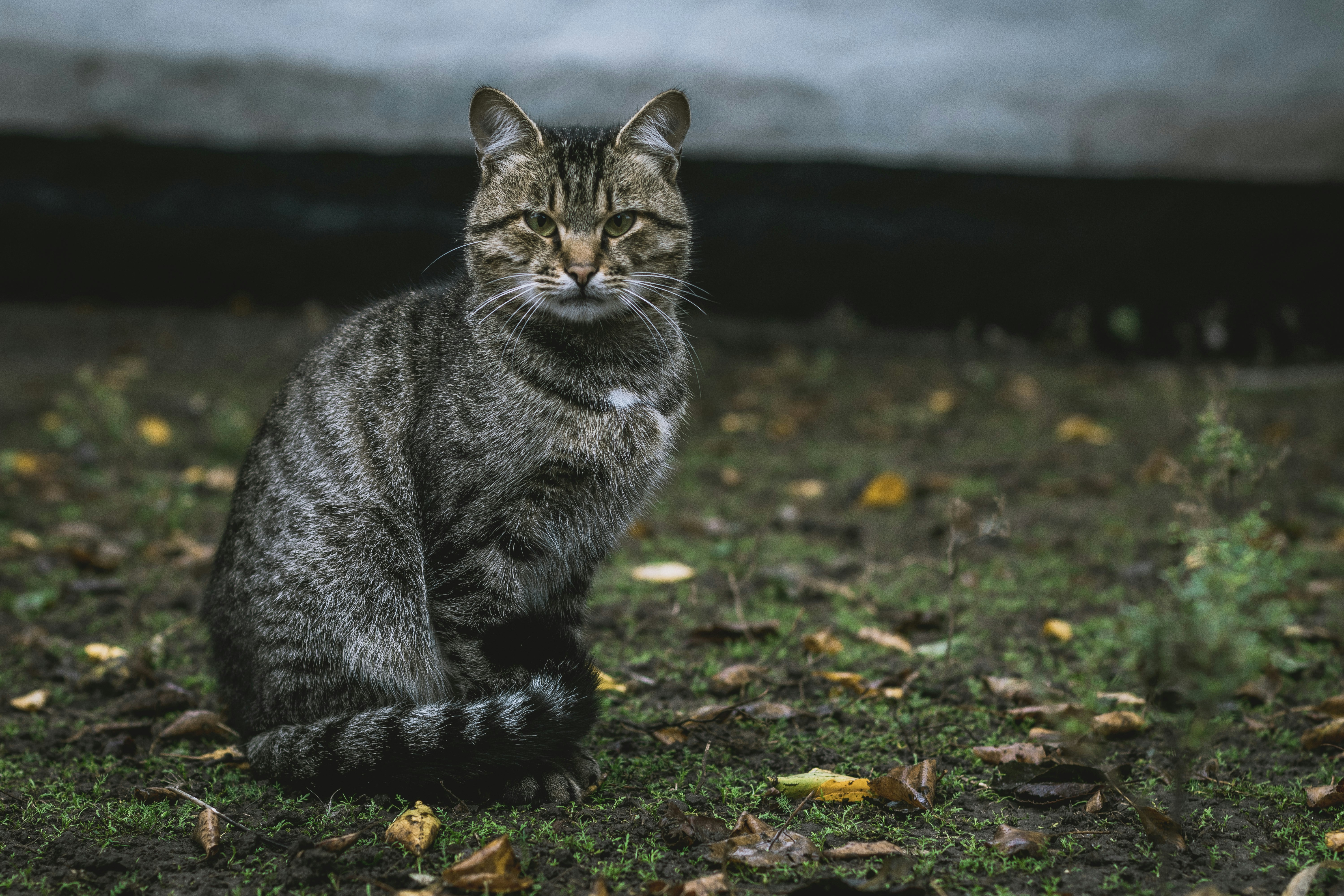 Photo by dkravchenko