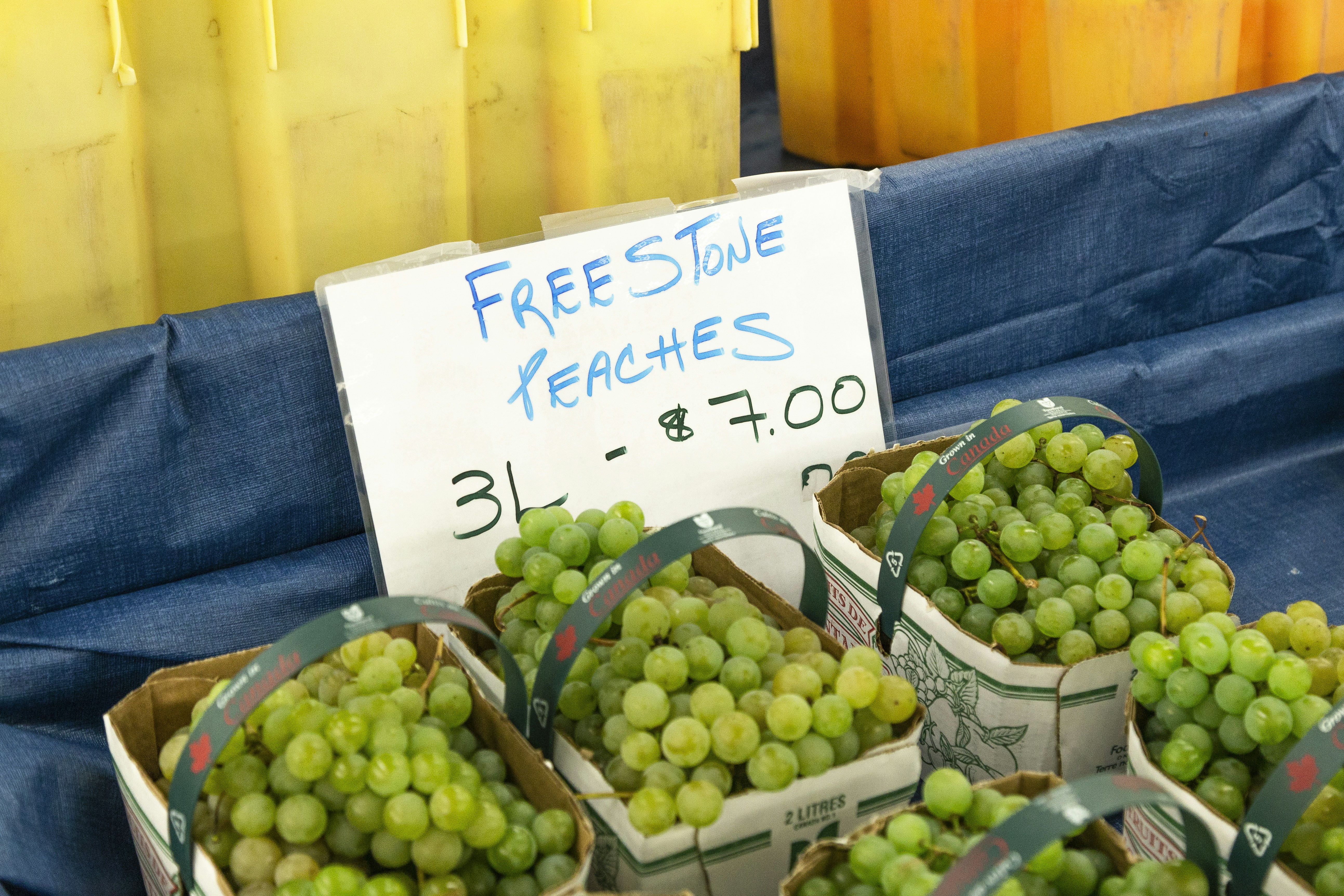 格鲁吉亚代孕医疗流程步骤与费用分析