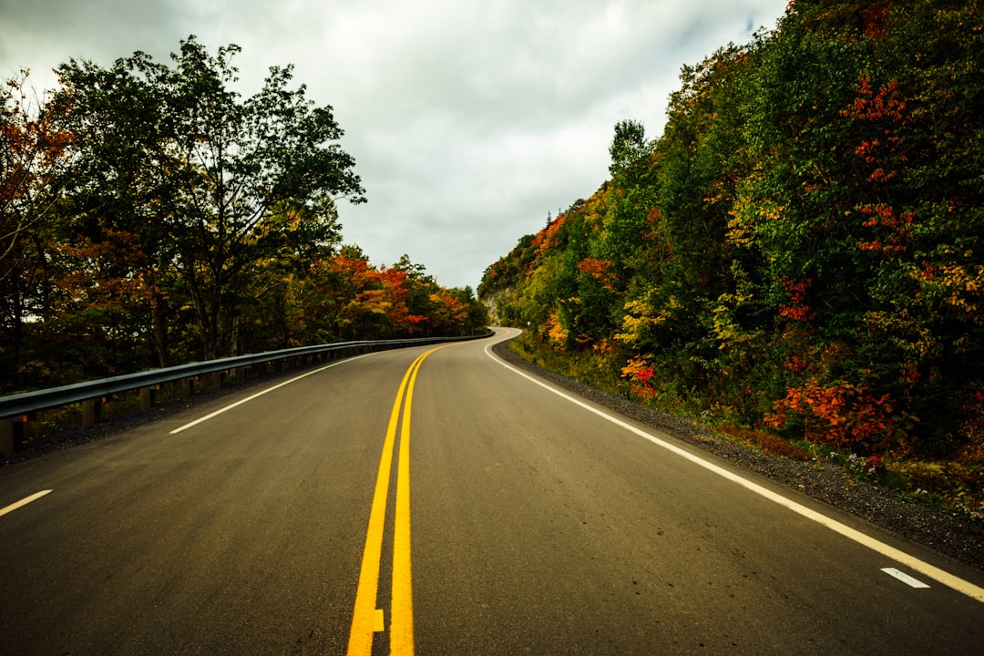 empty road