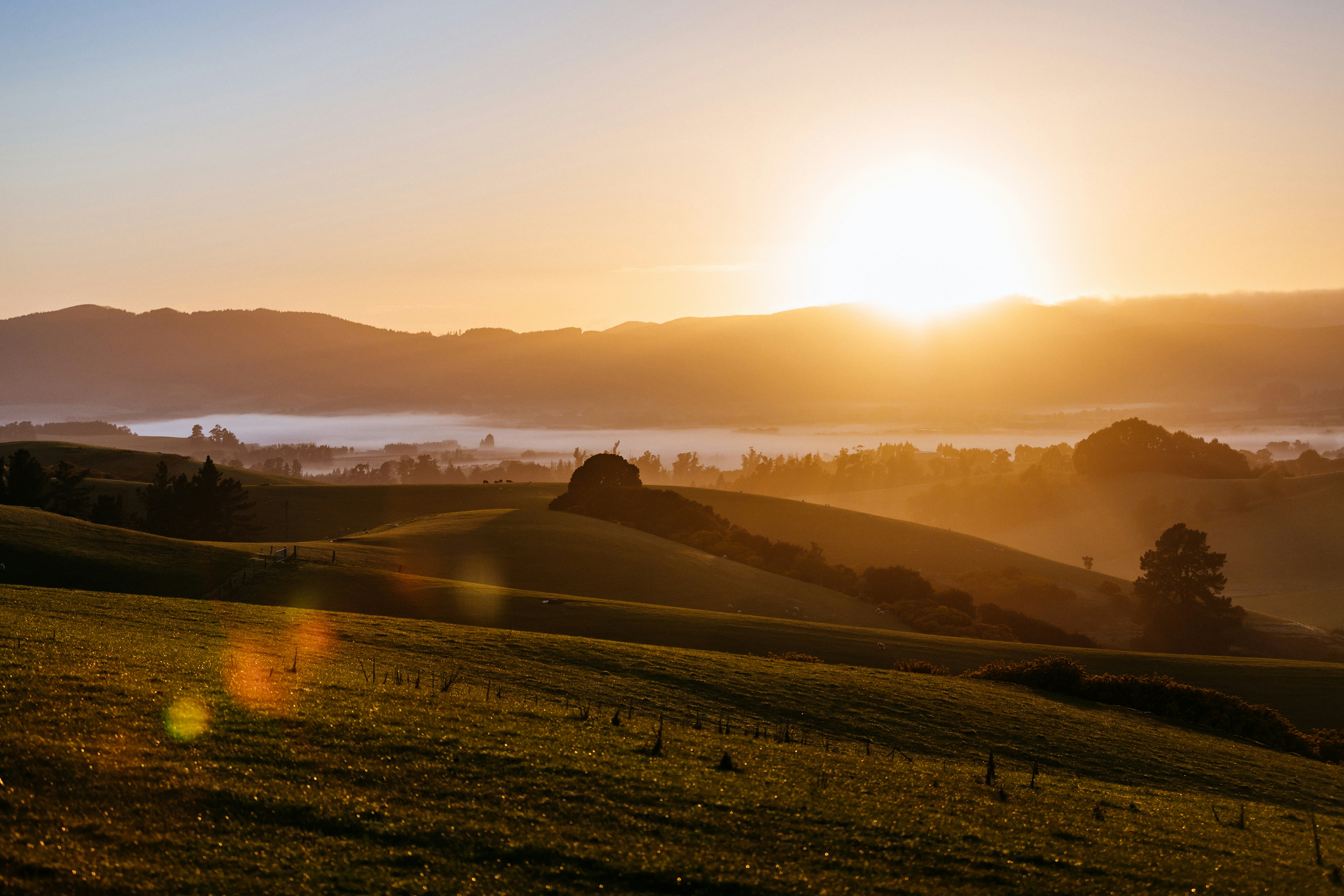 Photo by timmarshall