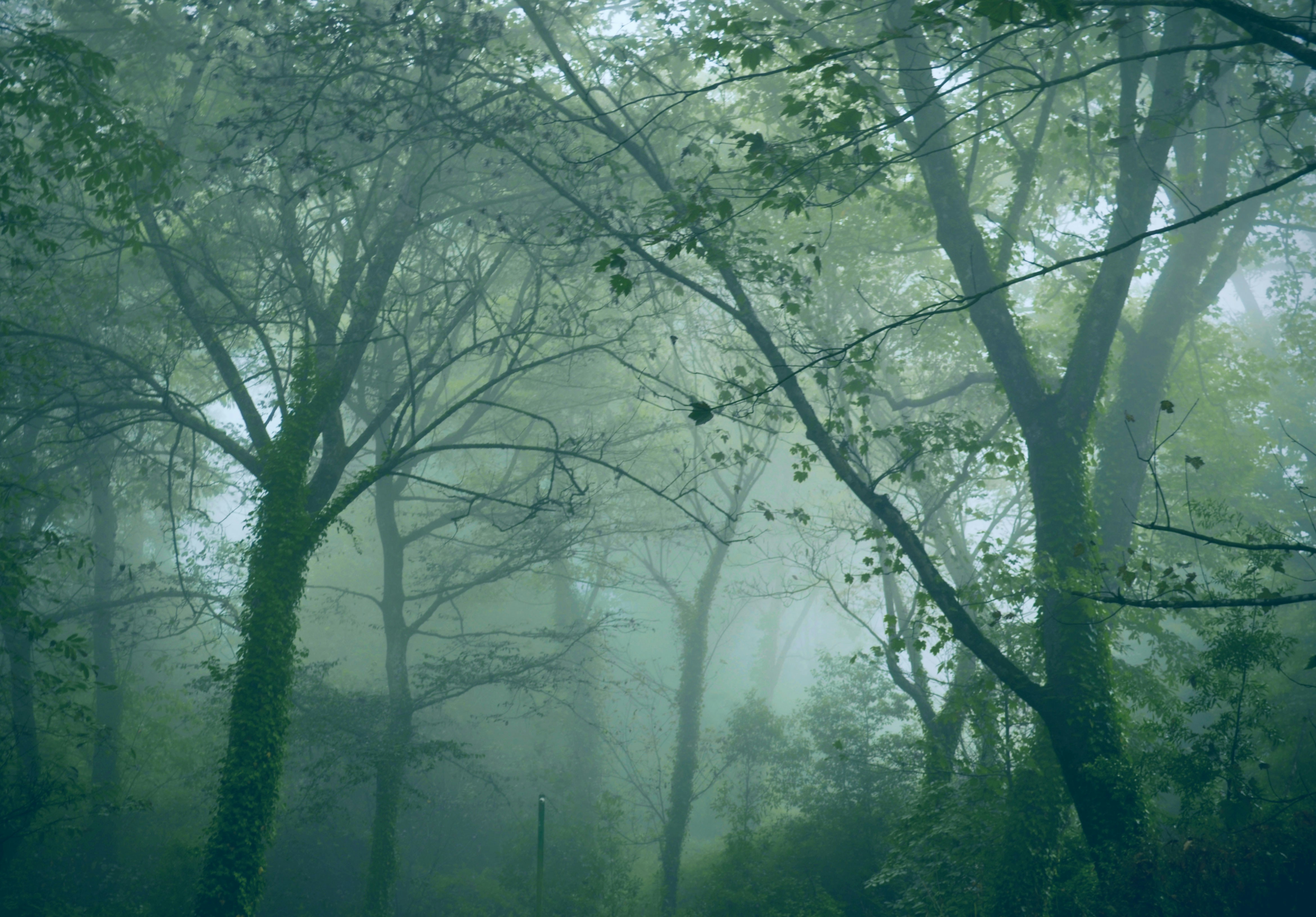 Photo by my_perspective