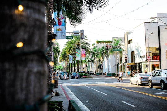 cars on street during daytime in Beverly Hills United States