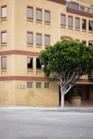 A multi-story brick building with evenly spaced windows, adjacent to a sidewalk and a large leafy tree in the foreground. The building has a blend of tan and red bricks and features arched entranceways with a partially visible sign that reads 'Urgent Care.' There are no people on the street, which appears quiet and empty.